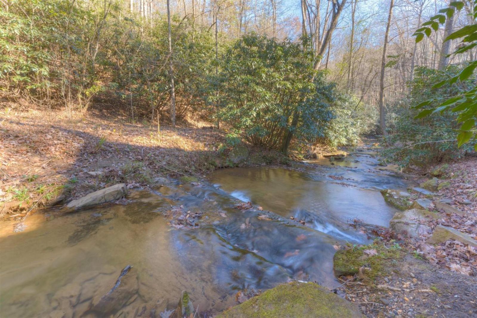 Rushing Waters - Creekside Cabin In North Ga ブルーリッジ山脈 エクステリア 写真